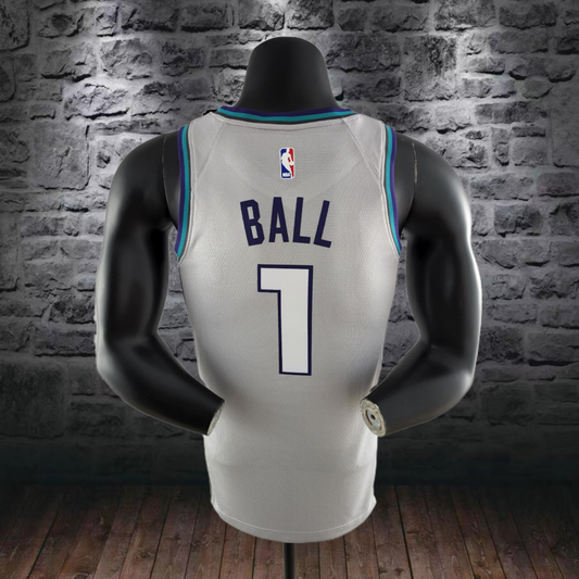 שארלוט הורנטס בית/חוץ