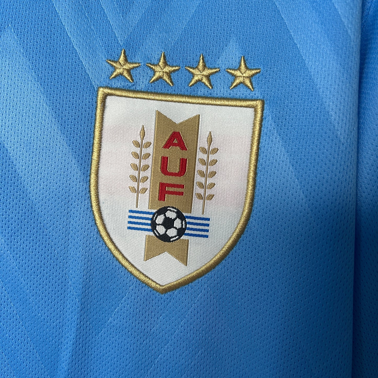 אורוגוואי בית - 2025